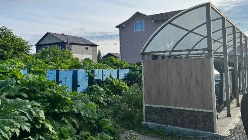 Жители СНТ на юге Сахалина прорываются к почтовым ящикам через борщевик и мусор