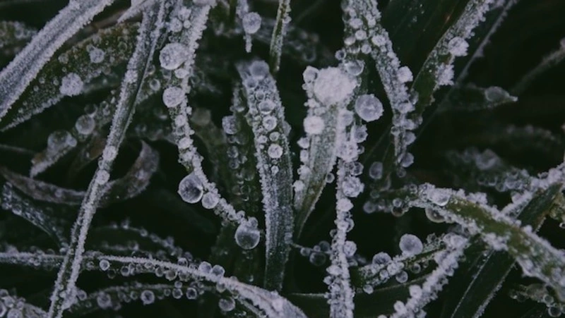 Снег спрогнозировали для севера Сахалина, а Курилы ждут дожди 17 октября