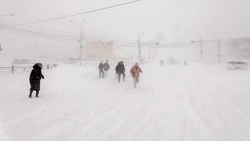 Мобильные мусорные площадки установят в Южно-Сахалинске на время непогоды