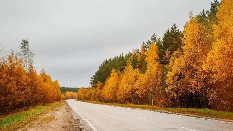 Церковный праздник 27 октября 2024: что нельзя делать в этот день, приметы
