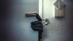 В Аниве дачник обокрал соседку и пустил ее стройматериалы на дрова