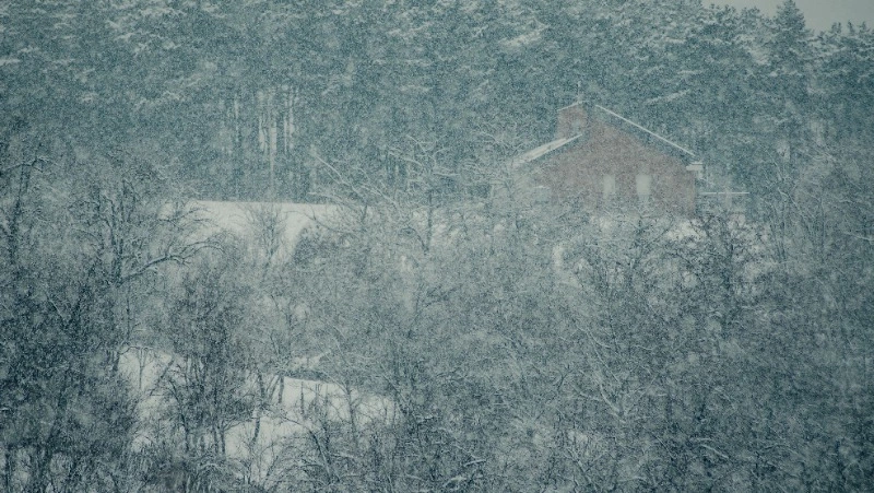 Жителей Курил предупредили о надвигающейся метели 21 января