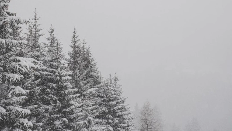 Метель и ураган ждет жителей Сахалина и Курил 27 декабря