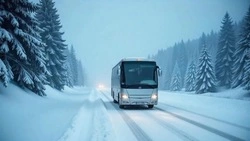 Транспортные ограничения ввели на Сахалине из-за метели