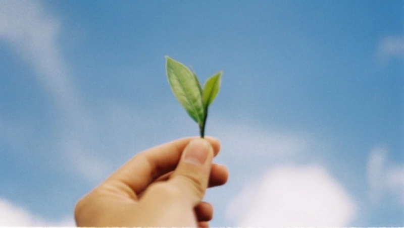 В Южно-Сахалинске потеплеет и выйдет солнце: прогноз погоды на 6 июня