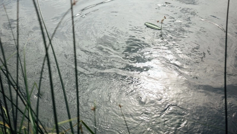 В Южно-Сахалинске прогнозируют небольшой дождь на 18 июня