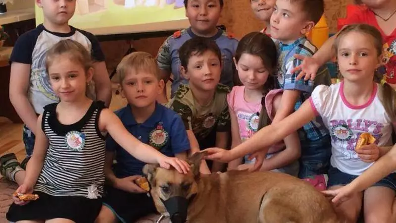 Лис Моня, курица Митяй и дворняга Молли