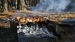 Из-за жары сахалинцам запретили жарить шашлык в лесу