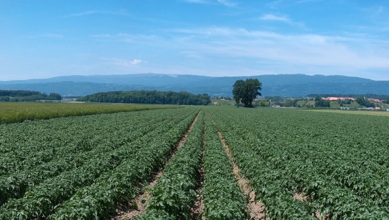 Мэр Южно-Сахалинска поблагодарил работников сельского хозяйства за самоотдачу в труде