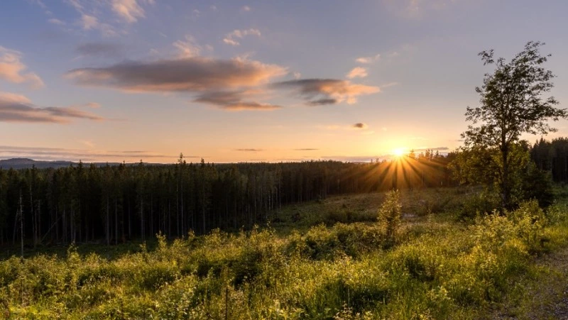 Церковный праздник 14 июня 2025: что нельзя делать в этот день, приметы