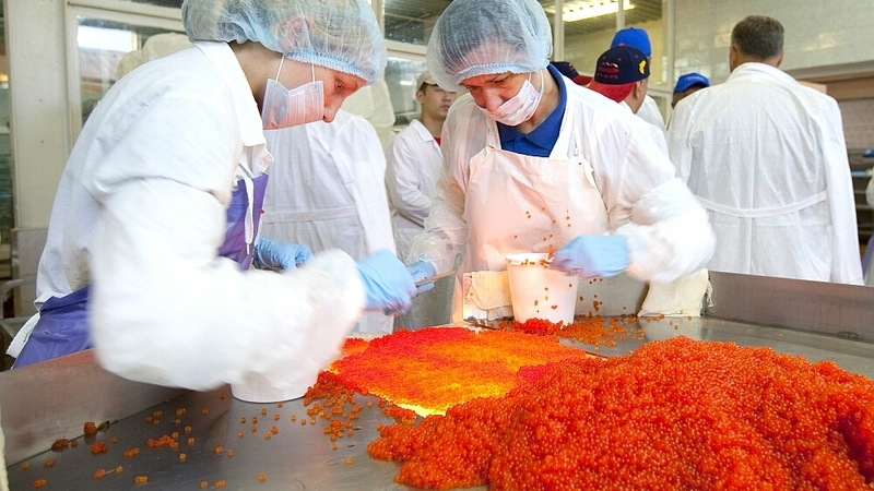 Японцы могут спровоцировать рост цен на красную икру