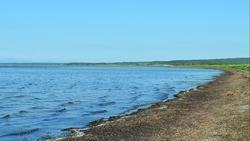 За лагуной Буссе на юге Сахалина будет следить бизнес