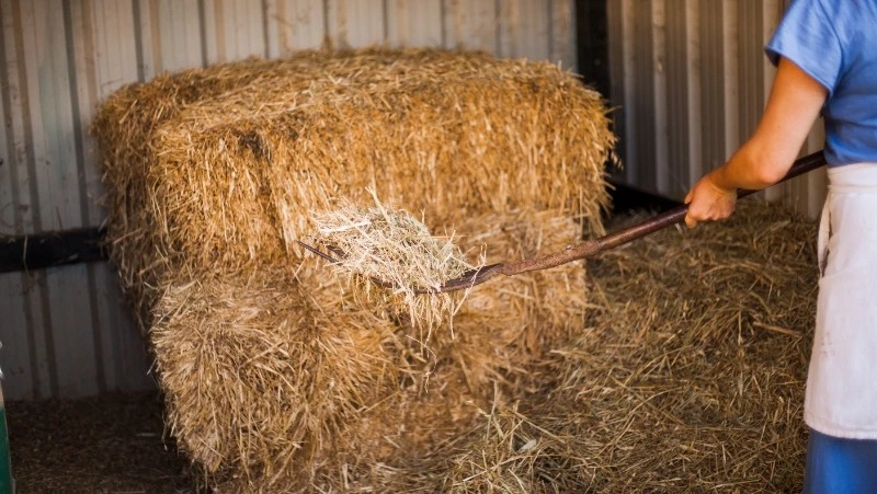 Церковный праздник 15 августа 2024: что нельзя делать в этот день, приметы