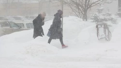 Жителей пяти районов Сахалина предупредили о сильном урагане 12 апреля