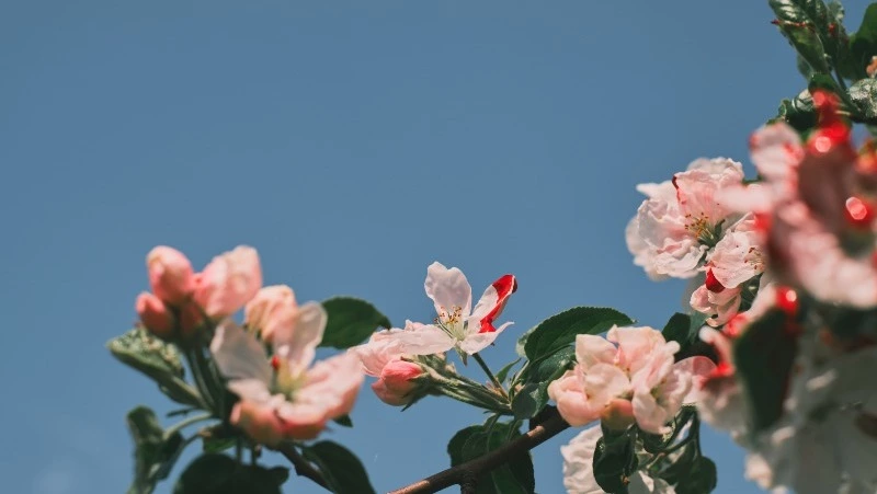 Тепло до +22 и без существенных осадков: погода на Сахалине и Курилах 14 мая