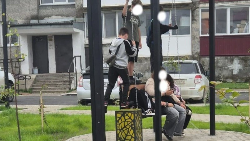 Мэр Анивского района пристыдила ломающих качели и деревья отдыхающих