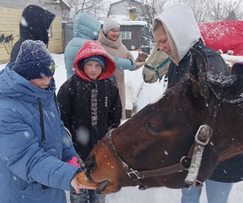Счастье в попоне