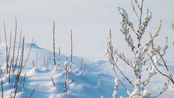 Прогноз погоды на Сахалине и Курилах на 2 февраля