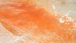 Ученые назвали причину появления «кровавой» воды в озере Горячем на Курилах 