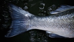За четыре дня полиция Сахалина 9 раз поймала браконьеров с грузом рыбы и морепродуктов