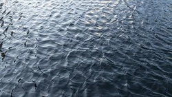 Три человека утонули в выходные на Сахалине