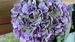 «От всей души»: мэр Макаровского района поздравил педагогов с Днем учителя