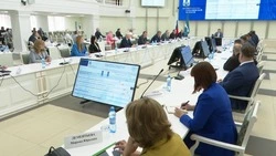 Инвестиционный потенциал Сахалина обсудили представители правительства и бизнеса