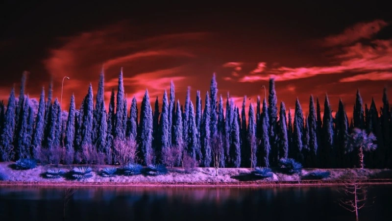 Гороскоп на 10 января 2024 года: избирательность в общении и новые знакомства