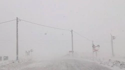 Движение по восьми автобусным маршрутам на Сахалине приостановят из-за метели