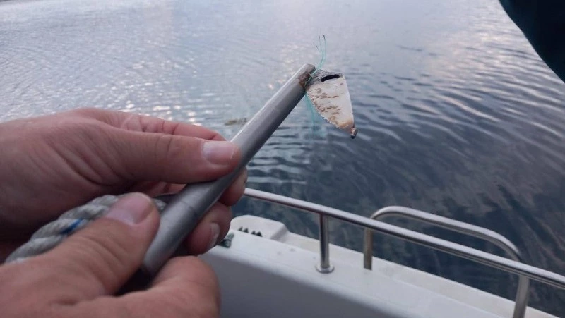 Сахалинцы в составе группы «Друзья океана» спасли кита из Териберки