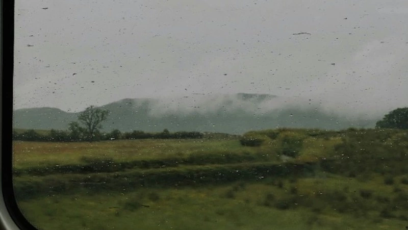 Осадки, туман и до +25 градусов прогнозируют синоптики в Южно-Сахалинске 18 июля