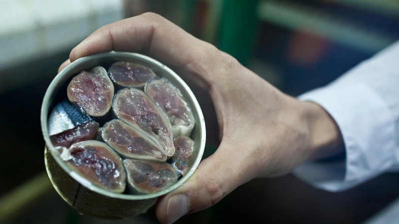 На ниве морской