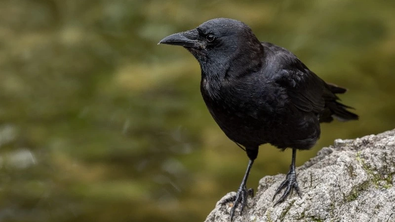 Приметы обо всем на 27 апреля: что можно и нельзя делать в этот день