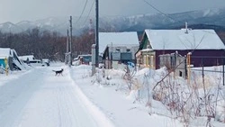 Более 8 км газовых сетей проложили в селе Долинского района