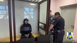 Сбившего мать с дочкой в Южно-Сахалинске таксиста заключили под стражу