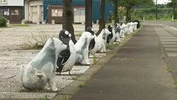 Сахалинский инженер создал кинотрилогию