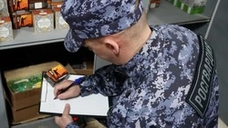 Сахалинец лишился ружья за побег с места ДТП 