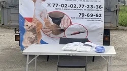 В Южно-Сахалинске проводят выездную бесплатную регистрацию и чипирование питомцев