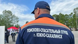 Спасатели выдвинулись на поиски пропавшего  в Корсаковском районе мужчины