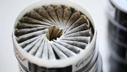 На Сахалине отменили закон о снюсах