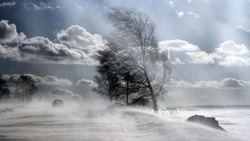 Сотрудники МЧС предупредили о сильном урагане и метели на Курилах