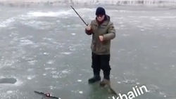 Лосось подо льдом удивил рыбаков на реке Гастелловке