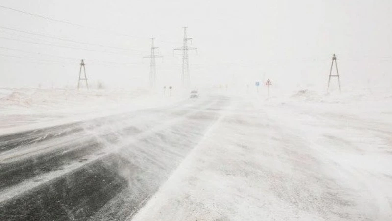 Школы восьми районов Сахалина 9 января перейдут на дистанционный формат обучения