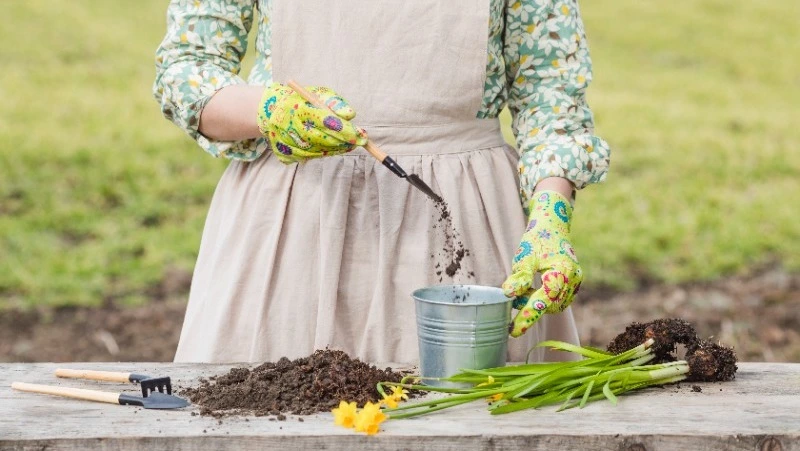 Календарь садовода на апрель 2026: выбираем дни для посадки