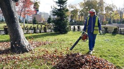 Муниципальные службы готовят «зеленые легкие» Южно-Сахалинска к зиме