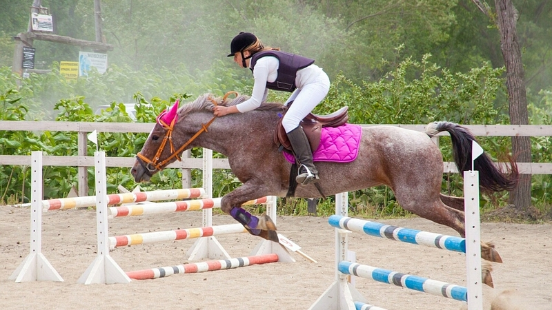 Соревнования по конному спорту впервые прошли  в Южно-Сахалинске