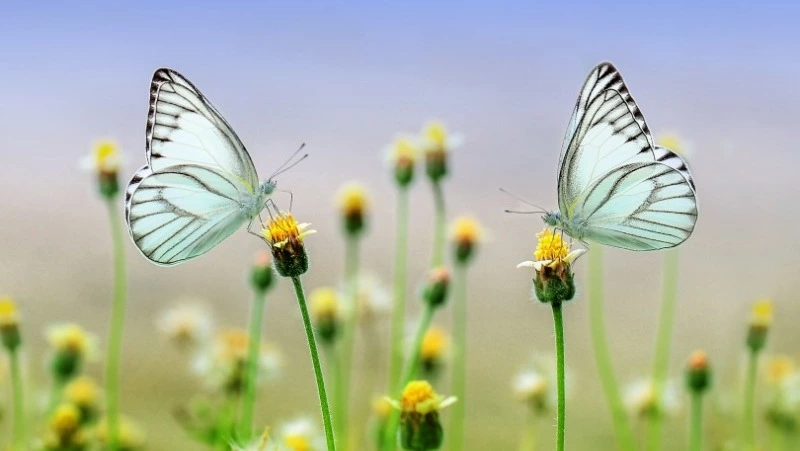 Прогноз Таро на завтра: главный совет карт на 25 июля 2023