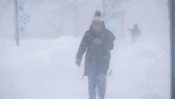 Сотрудники МЧС России оказывают помощь во время циклона на Сахалине