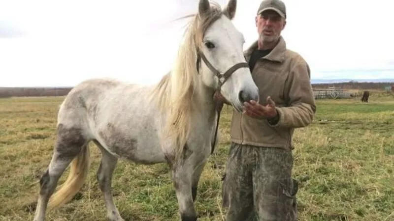 Острова моей любви. Очарованный голландец