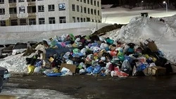 Контейнеры будут в мае: дворы «Уюн Парка» в Южно-Сахалинске грязнут в мусоре